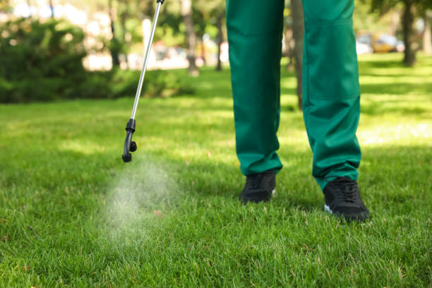 Best Local Pest Control Services  in South Pekin, IL