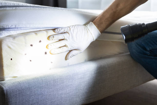 Best Pest Control Treatment  in South Pekin, IL